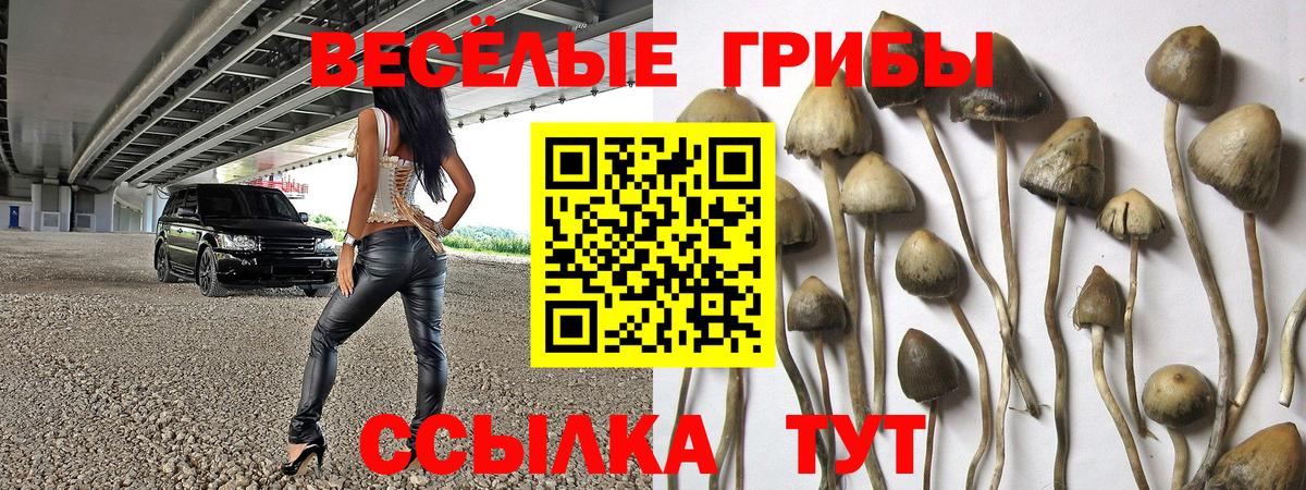 Псилоцибиновые грибы MAGIC MUSHROOMS Волгодонск