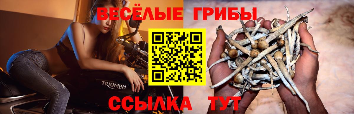 Псилоцибиновые грибы Psilocybine cubensis  Вход с VPN  Волгодонск 