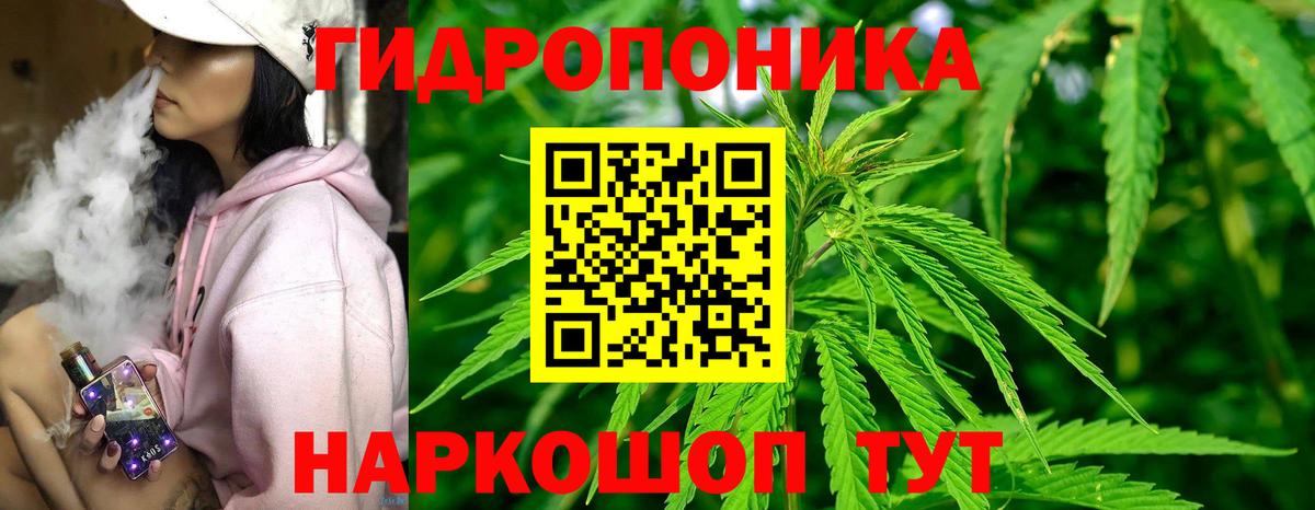 Шишки марихуана марихуана  Бошки марихуана ГИДРОПОН  Марихуана тримм  Волгодонск  Бошки Шишки сатива  Вход с VPN 